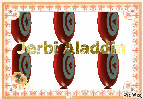 Jerbi Aladdin - GIF animé gratuit