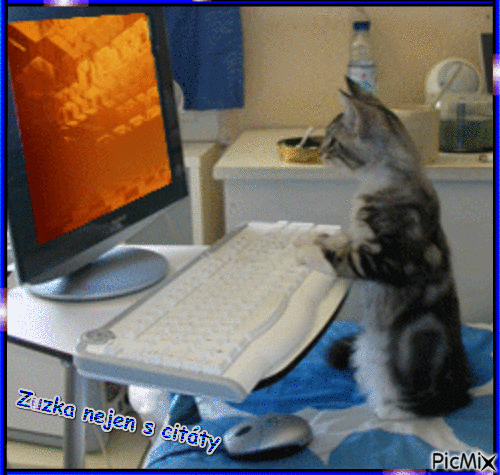 gif kočka u počítače. - GIF animate gratis