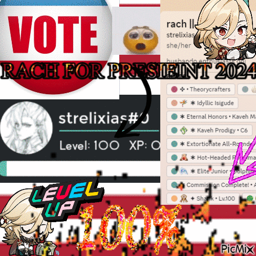 VOTE RACH FOR KAVEH MAINS OWNER 2024 - 免费动画 GIF