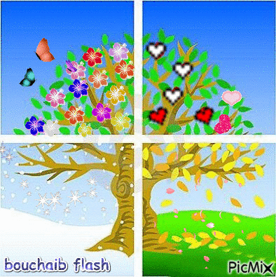 Bouchaib Flash - Бесплатный анимированный гифка