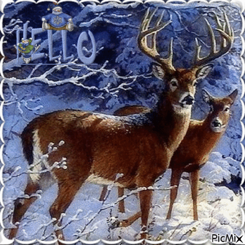 Hello Winter - Безплатен анимиран GIF