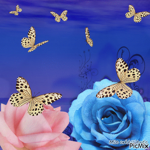 Papillon de nuit - Darmowy animowany GIF