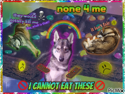 cosmic brownies are not for dogs - GIF animado gratis