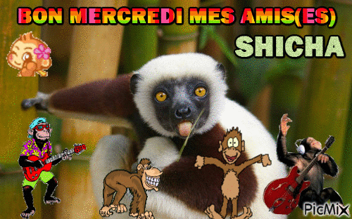 SMERC1 - Ingyenes animált GIF