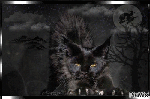 We love black cats♥ - GIF animé gratuit