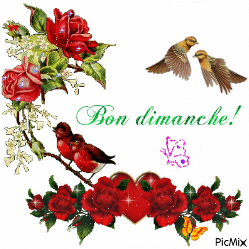 bon dimanche les oiseaux - Darmowy animowany GIF