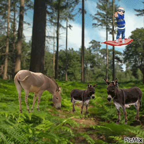 Mase & Donkey - Darmowy animowany GIF