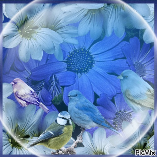Blue Bird - besplatni png