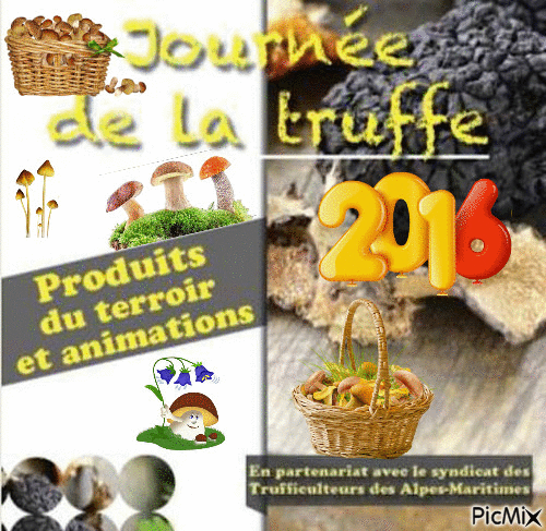 Les  belles Truffes !!!!!!!! - Бесплатни анимирани ГИФ