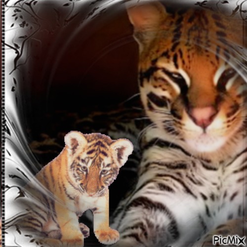 Tigres - png grátis