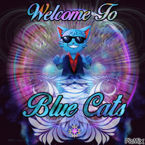 blue cats - Animovaný GIF zadarmo