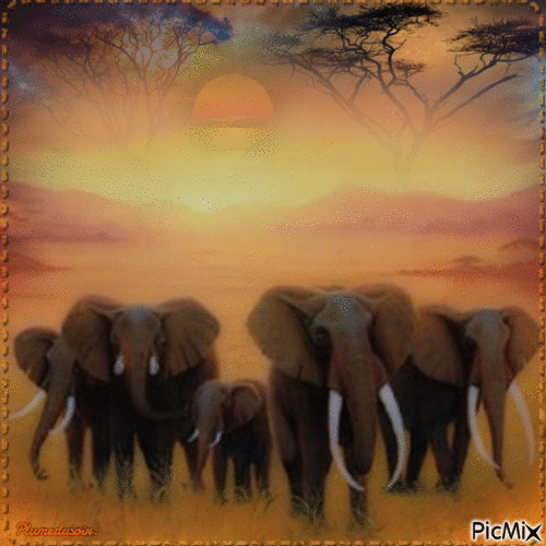 Eléphants en famille. - GIF animado gratis