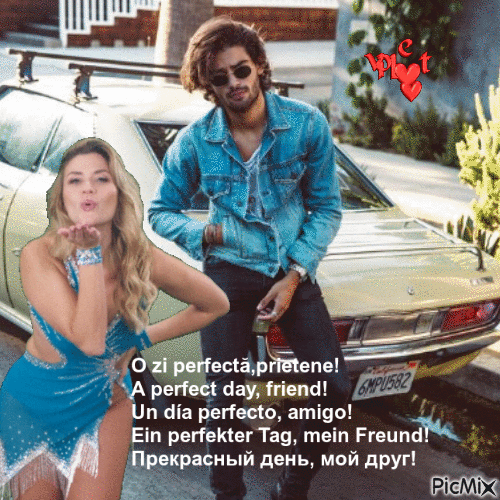 A perfect day, friend!@#! - Free animated GIF