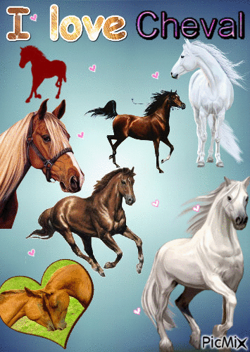 I love cheval !!!!! - Animovaný GIF zadarmo