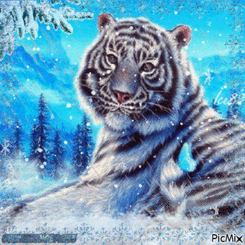 Snow Tiger - Animovaný GIF zadarmo