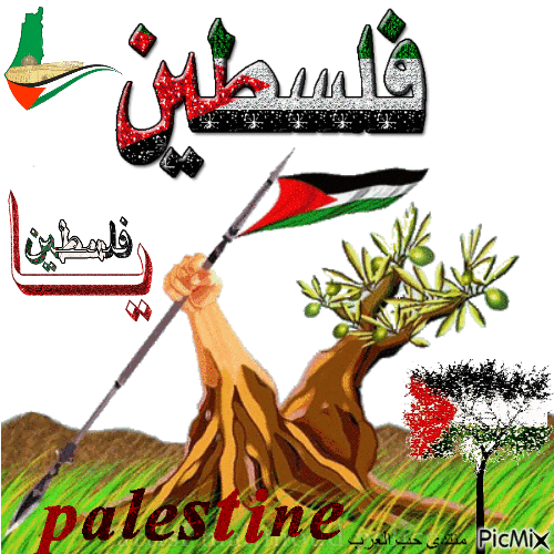 فلسطين ، Palestine - GIF animado grátis
