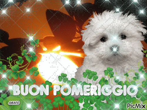 BUON POMERIGGIO - Безплатен анимиран GIF