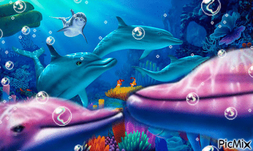 Dolphins - GIF animado grátis