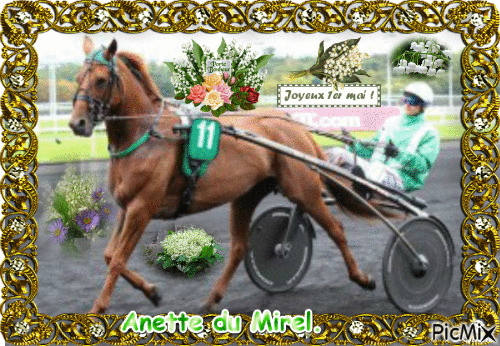 La championne Anette du Mirel. - GIF animado grátis