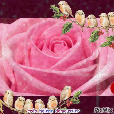 roses / oiseaux - Бесплатни анимирани ГИФ