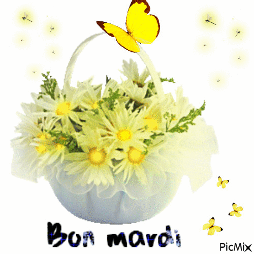 panier de fleurs bon mardi - Zdarma animovaný GIF