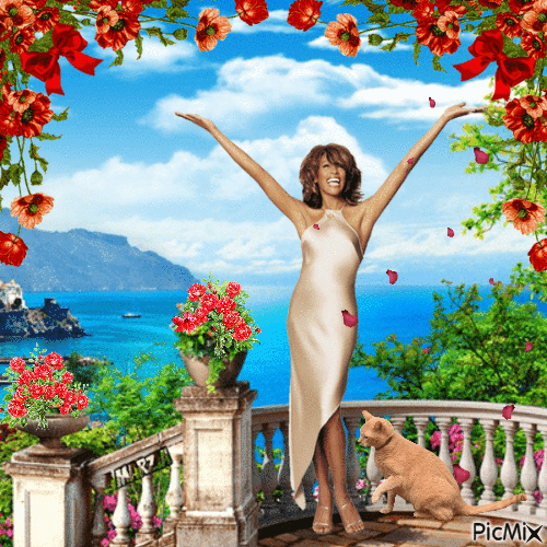 marzia - Tina Turner - Gratis geanimeerde GIF