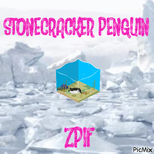 Stonecracker Penguin - GIF animé gratuit