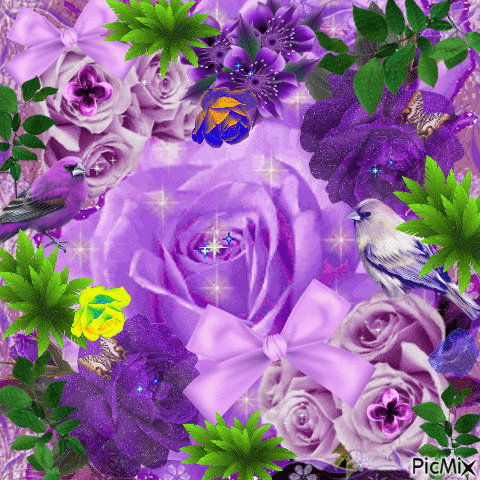 Purple - Zdarma animovaný GIF
