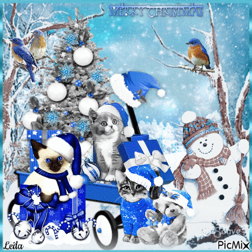 Merry Christmas. Cats, winter, blue tones - GIF เคลื่อนไหวฟรี