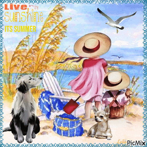 Live in the Sunshine its Summer. Children and dogs - GIF เคลื่อนไหวฟรี