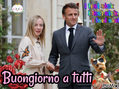 Buongiorno Meloni e Macron - GIF เคลื่อนไหวฟรี