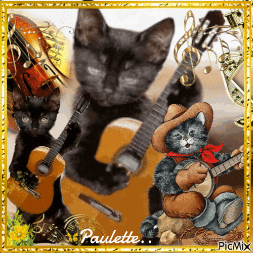 chat musicien - Free animated GIF