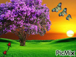 campo florido no por do sol - Bezmaksas animēts GIF