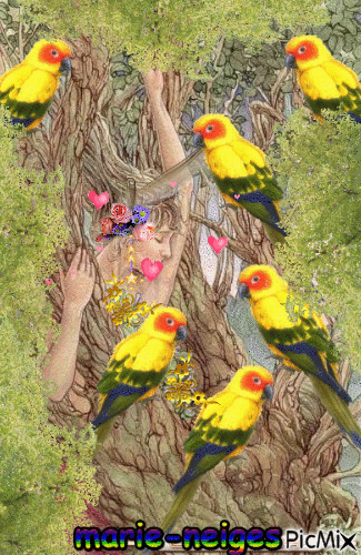 la femme et les perroquets - Free animated GIF