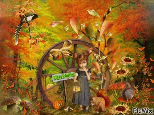 Forêt d'automne - GIF animé gratuit