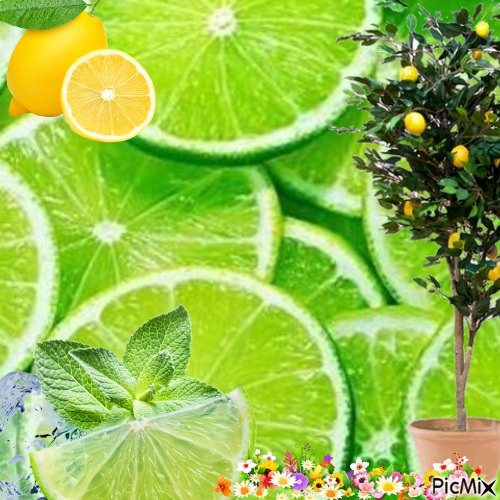 Le jardin aux citrons - фрее пнг