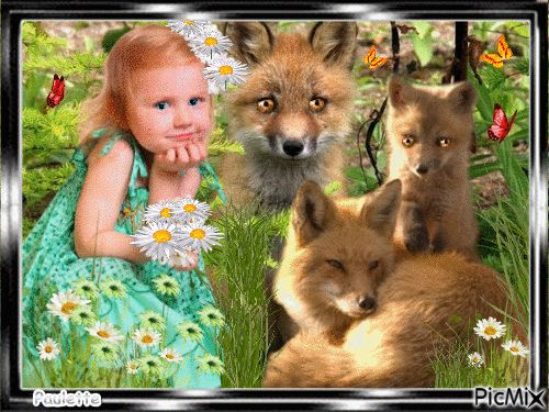 petite fille et les renards - Zdarma animovaný GIF