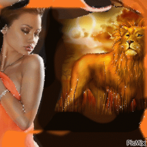 Mélange de belles images - Bezmaksas animēts GIF