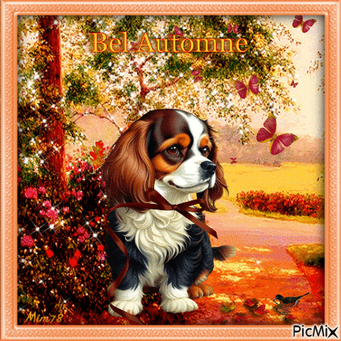 Doux chien en automne - GIF animado grátis