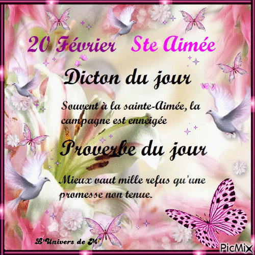 dicton et proverbe 20 février - Darmowy animowany GIF