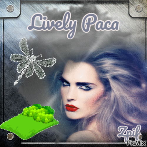 Lively Paca - 無料のアニメーション GIF