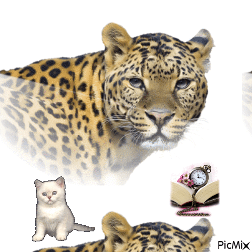 animali - Ingyenes animált GIF