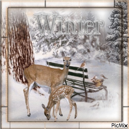 Winter Postkarte - png ฟรี