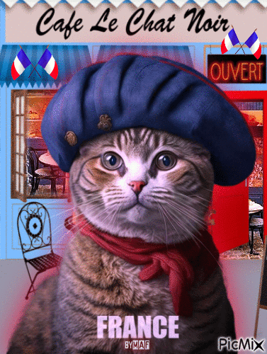 France Cat - GIF animado gratis