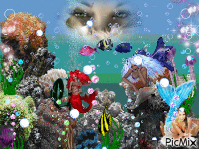 aquarium - GIF animé gratuit
