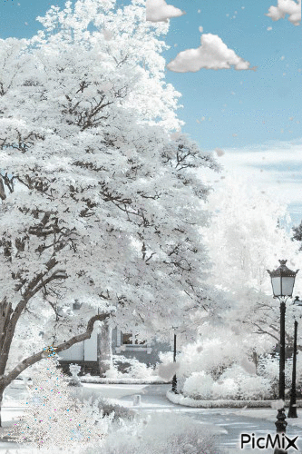 winter wonderland - Gratis geanimeerde GIF