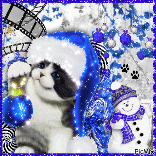 Blue Christmas - cats 𖤐 - GIF เคลื่อนไหวฟรี