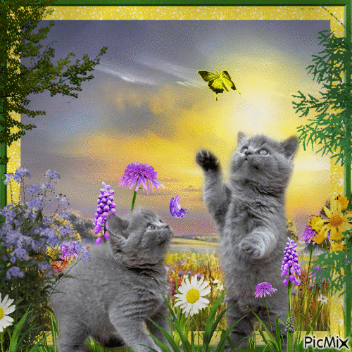 Kätzchen, Blumen und Schmetterling - GIF animado grátis