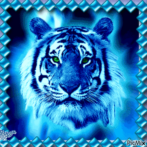 Tiger - Darmowy animowany GIF