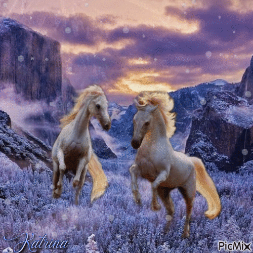 wild horses - GIF animasi gratis